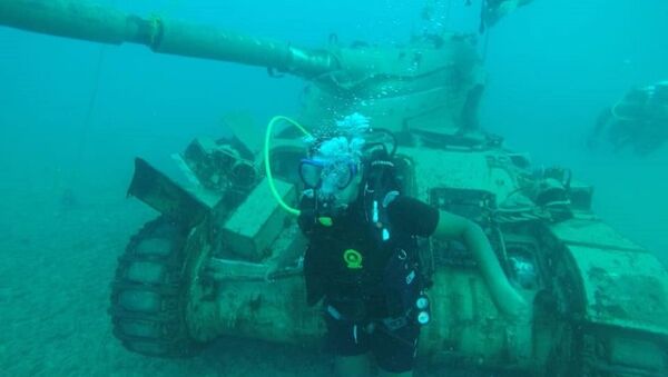 Un parque subacuático en el Líbano Un parque subacuático en el Líbano - Sputnik Mundo