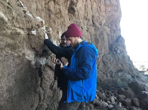 Paleontólogos del Museo Scaglia trabajan en la zona de Mar del Plata Paleontólogos del Museo Scaglia trabajan en la zona de Mar del Plata - Sputnik Mundo