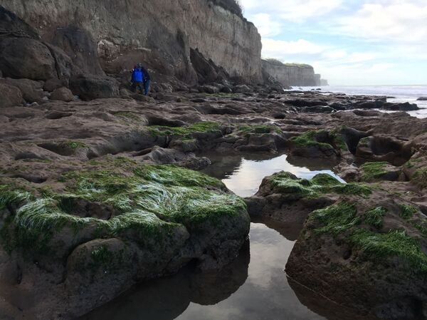 Barrancas de Mar del Plata Barrancas de Mar del Plata - Sputnik Mundo