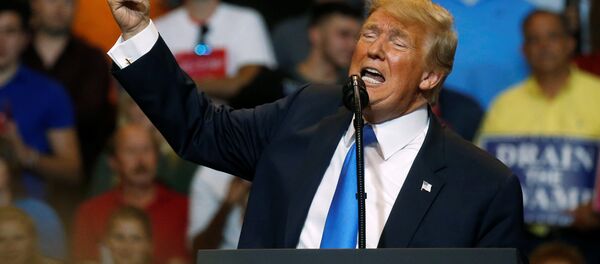 El presidente de EEUU, Donald Trump - Sputnik Mundo