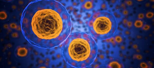 Unas células (imagen referencial) - Sputnik Mundo