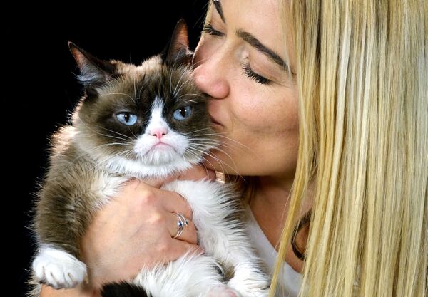 Conoce a los gatos más famosos del mundo - Sputnik Mundo