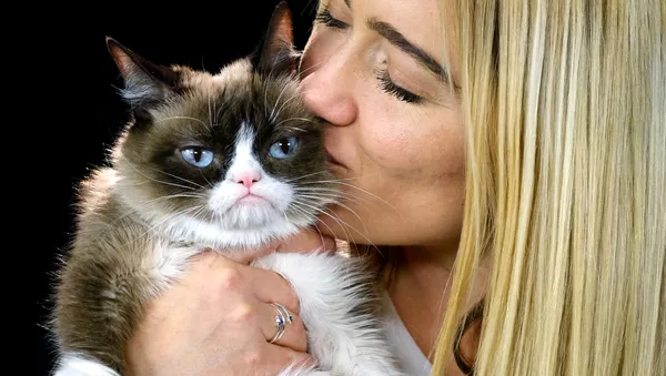 El gato gruñón con su humana (archivo) - Sputnik Mundo