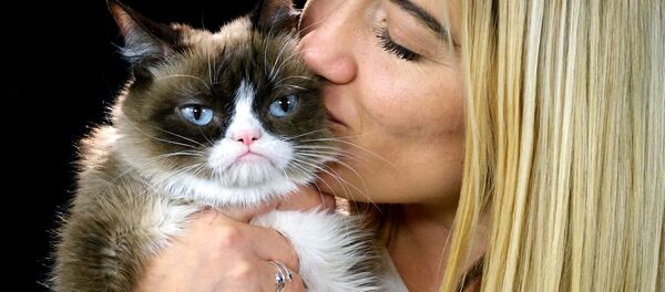 El gato gruñón con su humana (archivo) - Sputnik Mundo