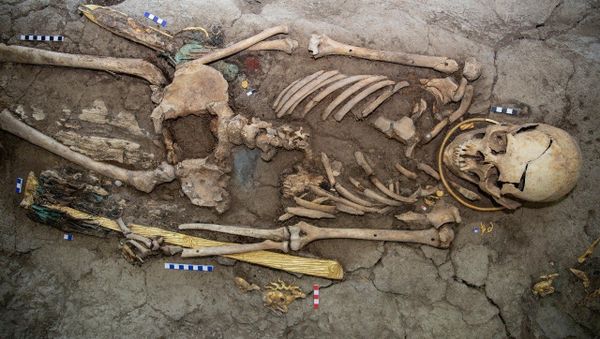 'Hombre dorado' encontrado en Kazajistán 'Hombre dorado' encontrado en Kazajistán - Sputnik Mundo