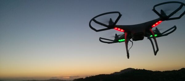 Un dron, imagen referencial - Sputnik Mundo