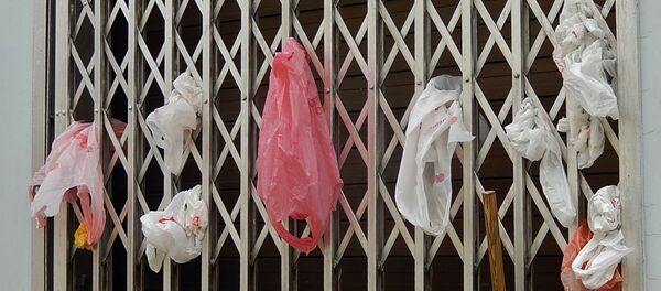 Bolsa de plástico Bolsa de plástico - Sputnik Mundo