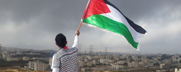 Un hombre ondea una bandera de Palestina - Sputnik Mundo