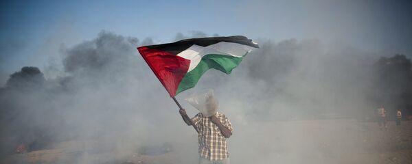 Un palestino con la bandera durante las protestas en Gaza - Sputnik Mundo