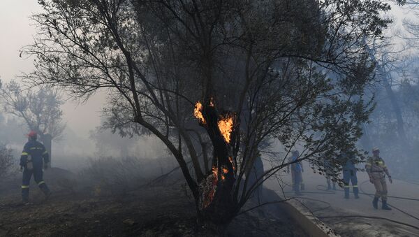 Incendio forestal en Eubea - Sputnik Mundo