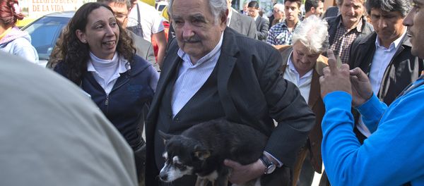 José Mujica, expresidente de Uruguay, lleva a su perra Manuela en brazos José Mujica, expresidente de Uruguay, lleva a su perra Manuela en brazos - Sputnik Mundo