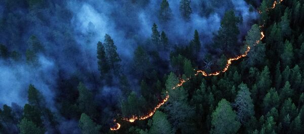 Incendio forestal en Rusia (Archivo) - Sputnik Mundo