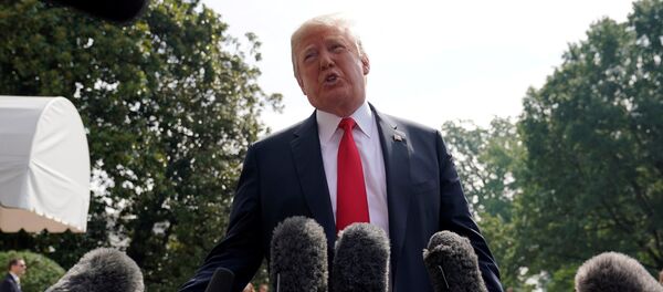 Donald Trump, presidente de EEUU - Sputnik Mundo