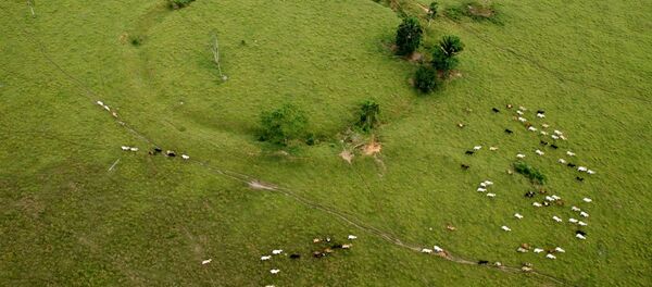 Geoglifos en Acre, Brasil - Sputnik Mundo
