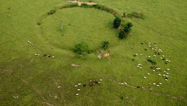 Geoglifos en Acre, Brasil - Sputnik Mundo