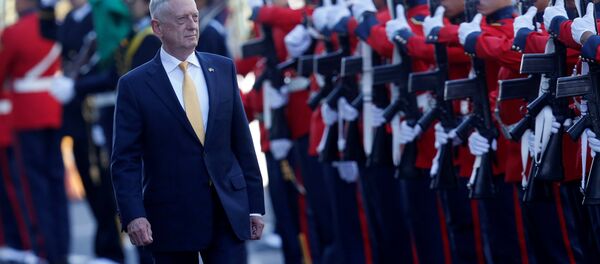 James Mattis, secretario de Defensa de EEUU - Sputnik Mundo