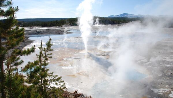 Parque Nacional de Yellowstone - Sputnik Mundo