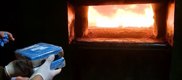 Queman casi 400 kilos de cocaína encontrada en la Embajada de Rusia en Argentina - Sputnik Mundo