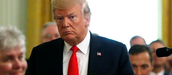 Donald Trump, presidente de EEUU - Sputnik Mundo