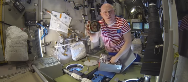 El cosmonauta ruso Oleg Artémiev mostró a los internautas algunos de los alimentos que comen los astronautas en la Estación Espacial Internacional El cosmonauta ruso Oleg Artémiev mostró a los internautas algunos de los alimentos que comen los astronautas en la Estación Espacial Internacional - Sputnik Mundo