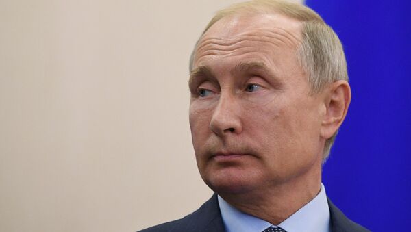 Vladímir Putin, presidente de Rusia Vladímir Putin, presidente de Rusia - Sputnik Mundo