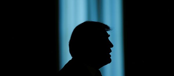La silueta de Donald Trump, el presidente de EEUU - Sputnik Mundo