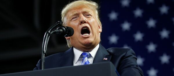 Donald Trump, presidente de EEUU - Sputnik Mundo