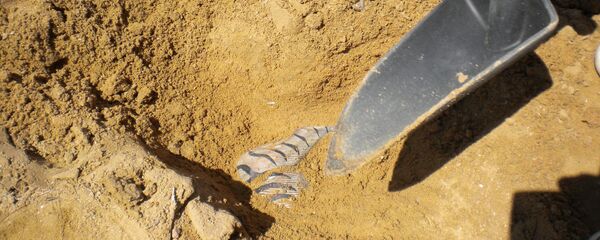 Arqueología (imagen referencial) - Sputnik Mundo