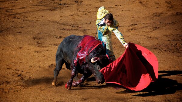 Una corrida de toros - Sputnik Mundo