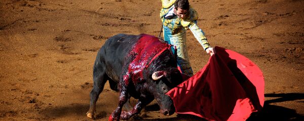 Una corrida de toros - Sputnik Mundo