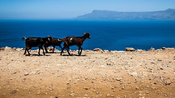 Creta, Grecia, referencial - Sputnik Mundo