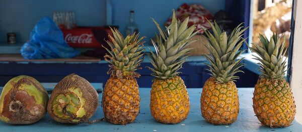 Unas piñas - Sputnik Mundo