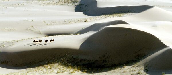 El desierto de Gobi, Mongolia - Sputnik Mundo