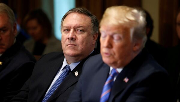 Secretario de Estado de EEUU, Mike Pompeo, y el presidente de EEUU, Donald Trump - Sputnik Mundo