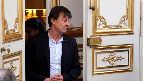 Nicolas Hulot, ministro de la Transición Ecológica, Francia - Sputnik Mundo