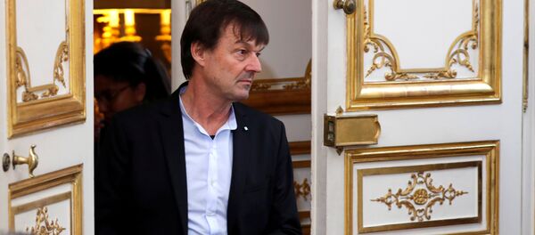 Nicolas Hulot, ministro de la Transición Ecológica, Francia - Sputnik Mundo