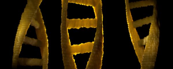 El ADN, imagen referencial El ADN, imagen referencial - Sputnik Mundo