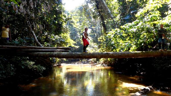 La expedición de Funai detinada a encontrar tribus indígenas aisladas - Sputnik Mundo