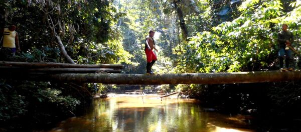 La expedición de Funai detinada a encontrar tribus indígenas aisladas - Sputnik Mundo