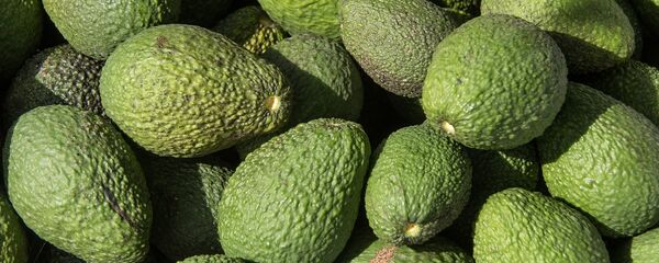 Aguacates - Sputnik Mundo