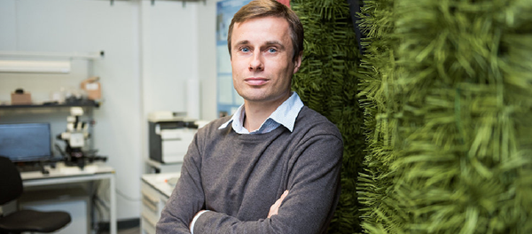 Alexéi Basharin, jefe del proyecto Anastasia por parte de la MISiS - Sputnik Mundo