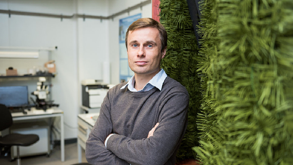 Alexéi Basharin, jefe del proyecto Anastasia por parte de la MISiS - Sputnik Mundo