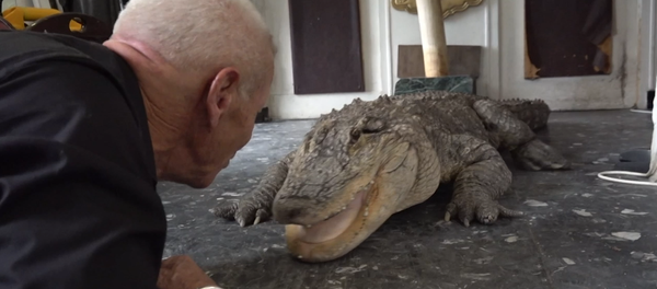 Un francés tiene cientos de mascotas exóticas en su casa - Sputnik Mundo