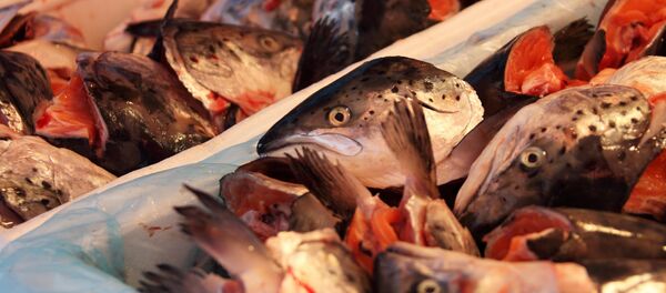 Pescado, imagen referencial - Sputnik Mundo