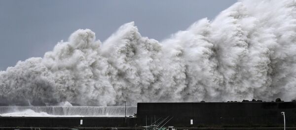 Las olas en la espera del tifón Jebi Las olas en la espera del tifón Jebi - Sputnik Mundo