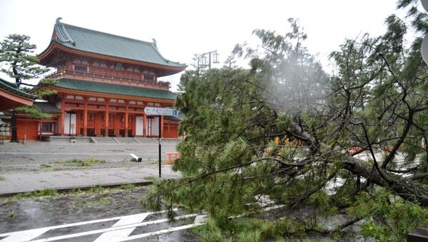 Consecuencias del tifón Jebi en Japón Consecuencias del tifón Jebi en Japón - Sputnik Mundo