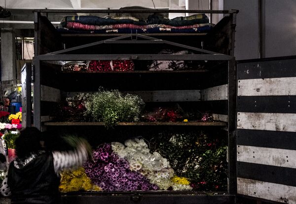 Conoce el principal mercado de flores de Ciudad de México (fotos) - Sputnik Mundo