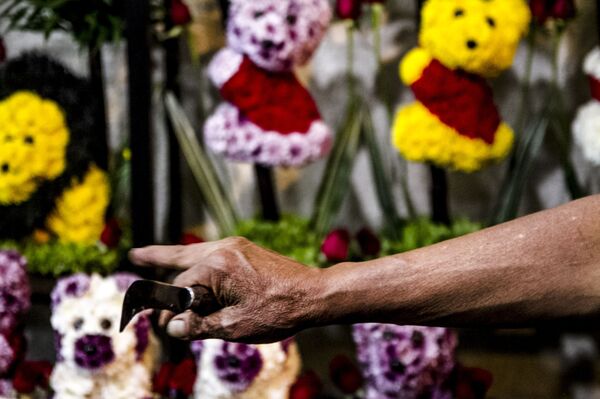 Conoce el principal mercado de flores de Ciudad de México (fotos) - Sputnik Mundo