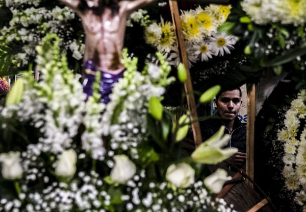 Conoce el principal mercado de flores de Ciudad de México (fotos) - Sputnik Mundo