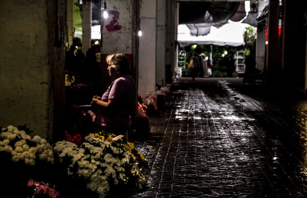 Conoce el principal mercado de flores de Ciudad de México (fotos) - Sputnik Mundo
